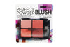Beauty Treats Blush Perfect Powder Palette, Natural Flush