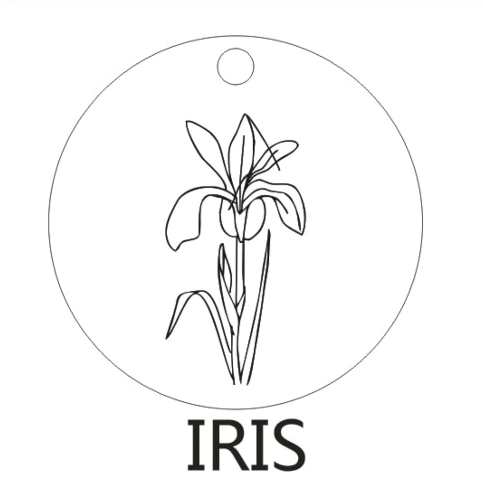 Delicate Flower Disc Necklace, Iris