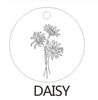 Delicate Flower Disc Necklace, Daisy